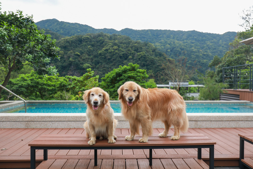新北烏來溫泉住宿｜烏來足立司拉Sla Ulay溫泉會館、梯田溫泉背包客旅店、寵物友善飯店民宿、房間私人湯屋