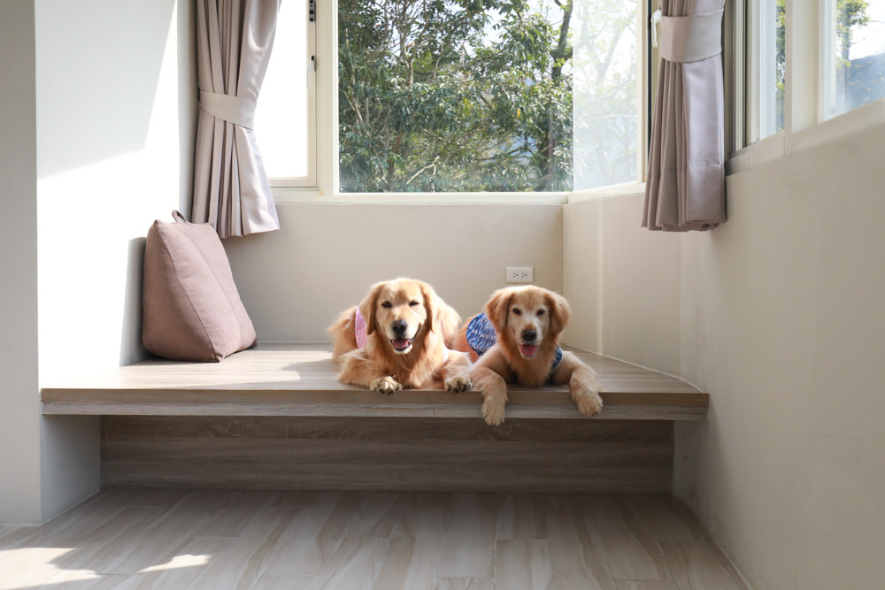 新北烏來溫泉住宿｜烏來足立司拉Sla Ulay溫泉會館、梯田溫泉背包客旅店、寵物友善飯店民宿、房間私人湯屋