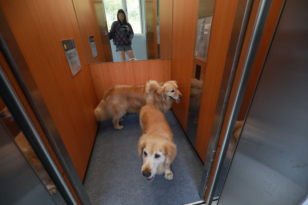 新北烏來溫泉住宿｜烏來足立司拉Sla Ulay溫泉會館、梯田溫泉背包客旅店、寵物友善飯店民宿、房間私人湯屋