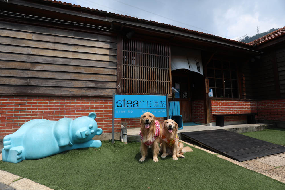 南投車埕｜隱茶STEAM。絕美日式茶屋、車埕貯木池畔旁、日式建築、湖畔景觀、戶外座位區可攜帶寵物、寵物友善