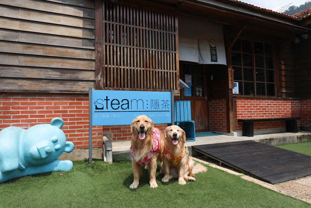 南投車埕｜隱茶STEAM。絕美日式茶屋、車埕貯木池畔旁、日式建築、湖畔景觀、戶外座位區可攜帶寵物、寵物友善