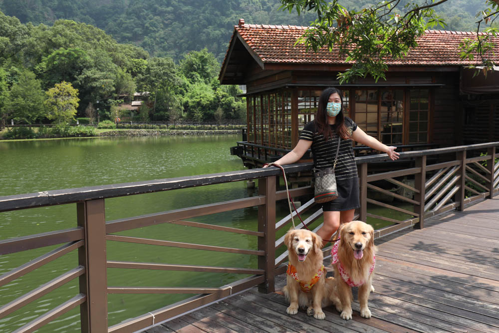 南投車埕｜隱茶STEAM。絕美日式茶屋、車埕貯木池畔旁、日式建築、湖畔景觀、戶外座位區可攜帶寵物、寵物友善