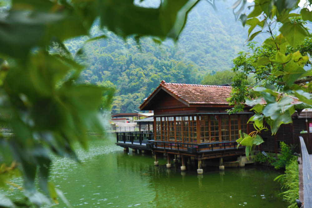 南投車埕｜隱茶STEAM。絕美日式茶屋、車埕貯木池畔旁、日式建築、湖畔景觀、戶外座位區可攜帶寵物、寵物友善