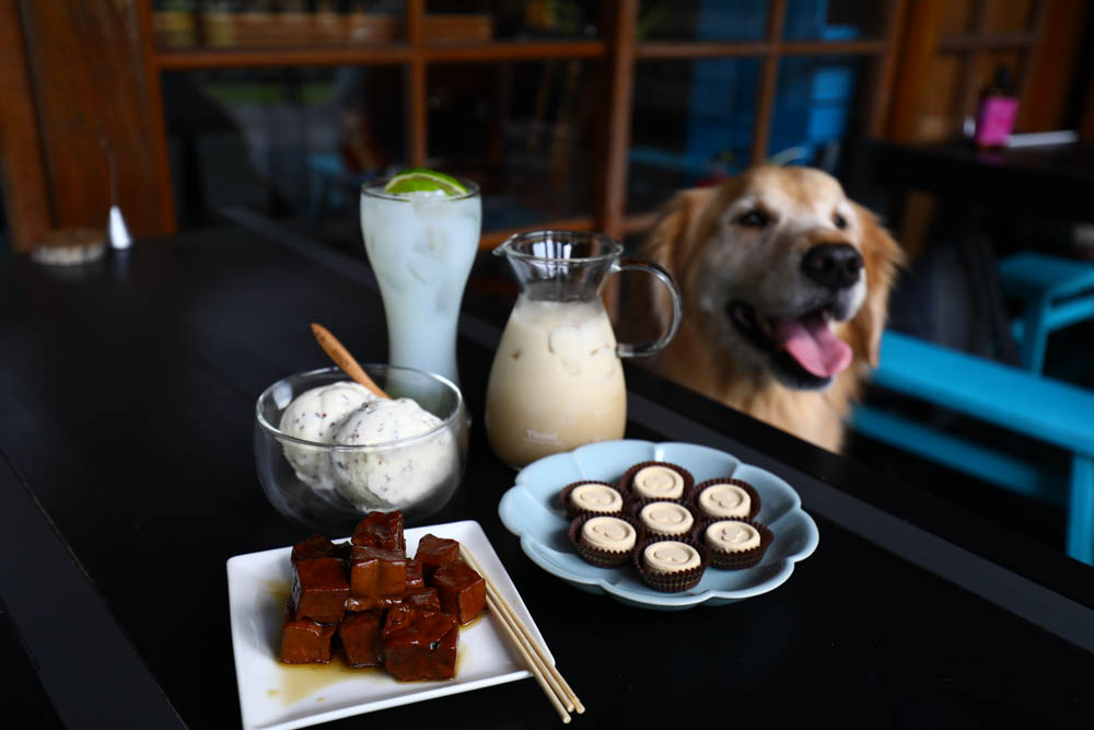 南投車埕｜隱茶STEAM。絕美日式茶屋、車埕貯木池畔旁、日式建築、湖畔景觀、戶外座位區可攜帶寵物、寵物友善