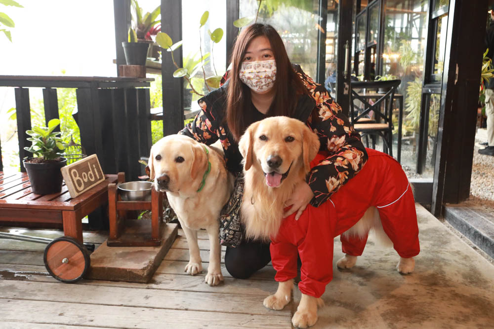 台北｜陽明山野人花園SAVAGE GARDEN。森林系景觀玻璃屋咖啡廳、陽明山景觀餐廳、台北寵物友善餐廳