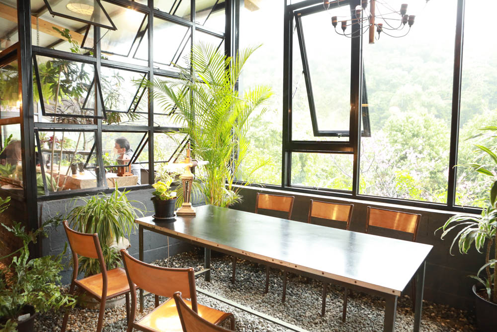 台北｜陽明山野人花園SAVAGE GARDEN。森林系景觀玻璃屋咖啡廳、陽明山景觀餐廳、台北寵物友善餐廳