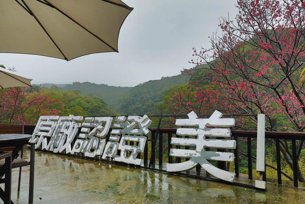 台北｜陽明山野人花園SAVAGE GARDEN。森林系景觀玻璃屋咖啡廳、陽明山景觀餐廳、台北寵物友善餐廳