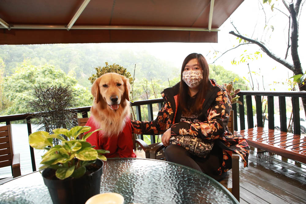 台北｜陽明山野人花園SAVAGE GARDEN。森林系景觀玻璃屋咖啡廳、陽明山景觀餐廳、台北寵物友善餐廳