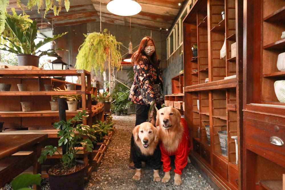 台北｜陽明山野人花園SAVAGE GARDEN。森林系景觀玻璃屋咖啡廳、陽明山景觀餐廳、台北寵物友善餐廳