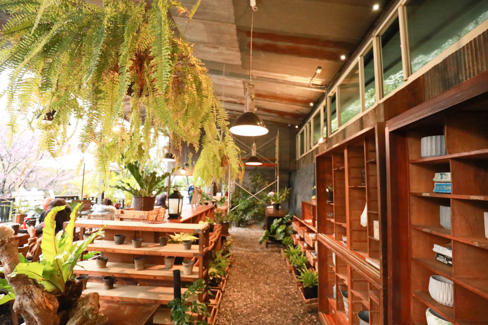 台北｜陽明山野人花園SAVAGE GARDEN。森林系景觀玻璃屋咖啡廳、陽明山景觀餐廳、台北寵物友善餐廳