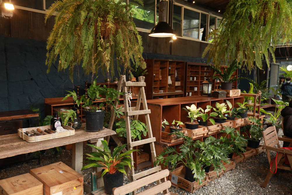 台北｜陽明山野人花園SAVAGE GARDEN。森林系景觀玻璃屋咖啡廳、陽明山景觀餐廳、台北寵物友善餐廳