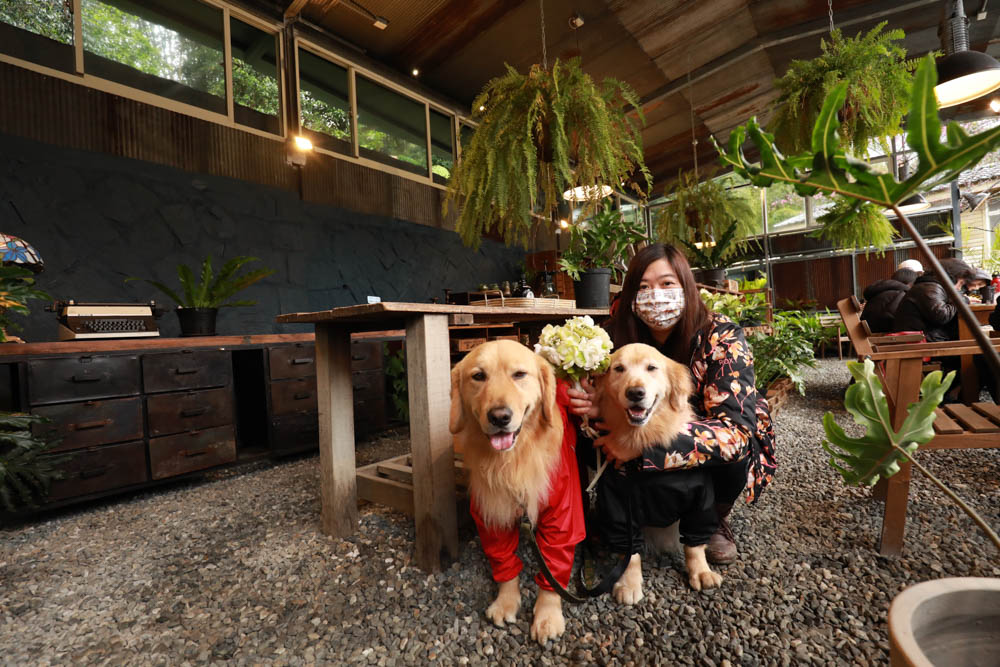 台北｜陽明山野人花園SAVAGE GARDEN。森林系景觀玻璃屋咖啡廳、陽明山景觀餐廳、台北寵物友善餐廳