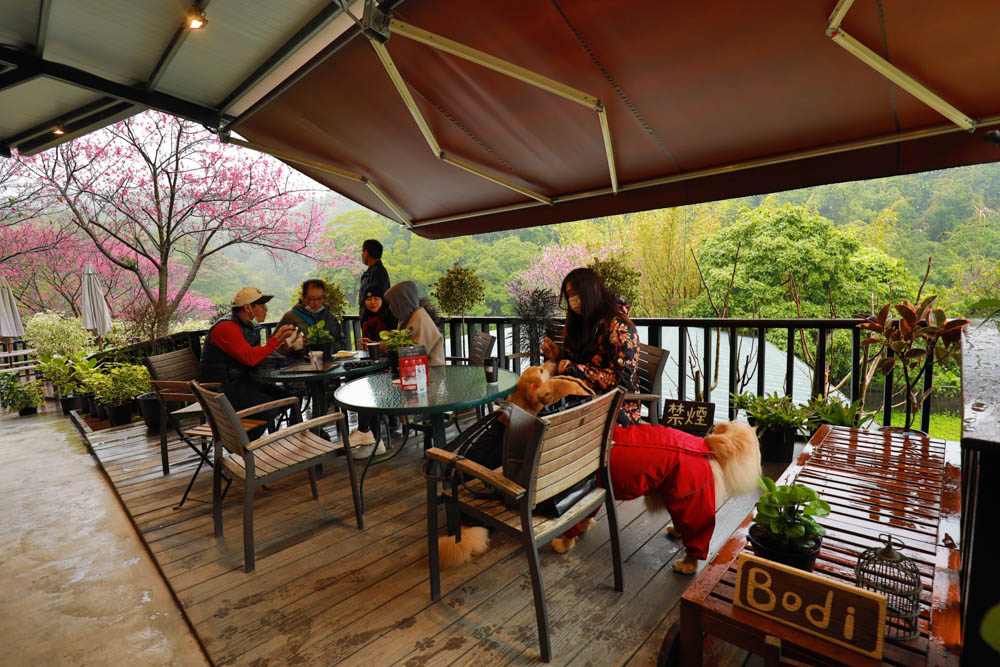 台北｜陽明山野人花園SAVAGE GARDEN。森林系景觀玻璃屋咖啡廳、陽明山景觀餐廳、台北寵物友善餐廳