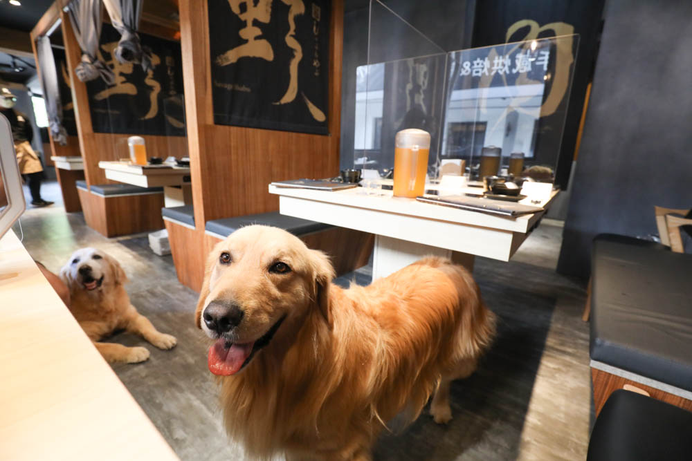 中永和美食|野人SHABU火鍋中和店、野人Shabu 冷藏/熟成高級肉專門中和。寵物友善餐廳 - 第21張圖 中永和美食|野人SHABU火鍋中和店、野人Shabu 冷藏/熟成高級肉專門中和。寵物友善餐廳