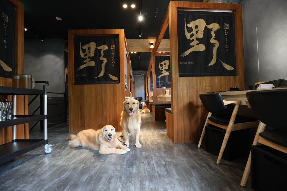 中永和美食|野人SHABU火鍋中和店、野人Shabu 冷藏/熟成高級肉專門中和。寵物友善餐廳 - 第10張圖 中永和美食|野人SHABU火鍋中和店、野人Shabu 冷藏/熟成高級肉專門中和。寵物友善餐廳