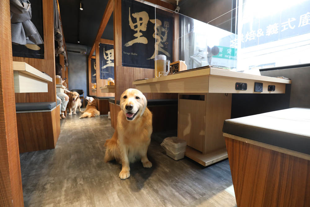 中永和美食|野人SHABU火鍋中和店、野人Shabu 冷藏/熟成高級肉專門中和。寵物友善餐廳 - 第14張圖 中永和美食|野人SHABU火鍋中和店、野人Shabu 冷藏/熟成高級肉專門中和。寵物友善餐廳