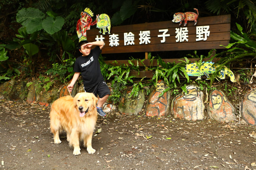 花蓮特色活動|野猴子探險森林。化身泰山攀上樹冠層探險、飛躍叢林、挑戰多條空中滑索吊橋超刺激! - 第1張圖 花蓮特色活動|野猴子探險森林。化身泰山攀上樹冠層探險、飛躍叢林、挑戰多條空中滑索吊橋超刺激!