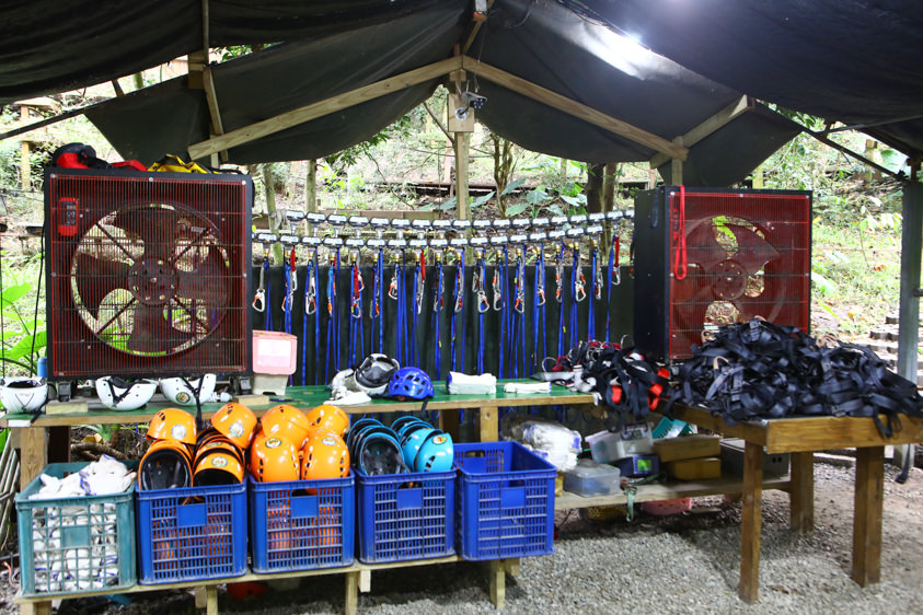 花蓮特色活動|野猴子探險森林。化身泰山攀上樹冠層探險、飛躍叢林、挑戰多條空中滑索吊橋超刺激! - 第5張圖 花蓮特色活動|野猴子探險森林。化身泰山攀上樹冠層探險、飛躍叢林、挑戰多條空中滑索吊橋超刺激!