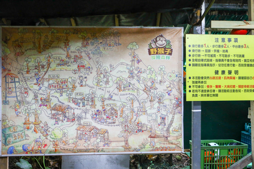 花蓮特色活動|野猴子探險森林。化身泰山攀上樹冠層探險、飛躍叢林、挑戰多條空中滑索吊橋超刺激! - 第6張圖 花蓮特色活動|野猴子探險森林。化身泰山攀上樹冠層探險、飛躍叢林、挑戰多條空中滑索吊橋超刺激!