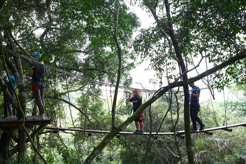 花蓮特色活動|野猴子探險森林。化身泰山攀上樹冠層探險、飛躍叢林、挑戰多條空中滑索吊橋超刺激! - 第15張圖 花蓮特色活動|野猴子探險森林。化身泰山攀上樹冠層探險、飛躍叢林、挑戰多條空中滑索吊橋超刺激!
