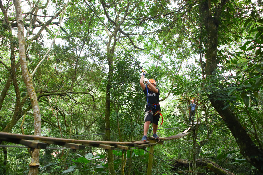花蓮特色活動|野猴子探險森林。化身泰山攀上樹冠層探險、飛躍叢林、挑戰多條空中滑索吊橋超刺激! - 第20張圖 花蓮特色活動|野猴子探險森林。化身泰山攀上樹冠層探險、飛躍叢林、挑戰多條空中滑索吊橋超刺激!