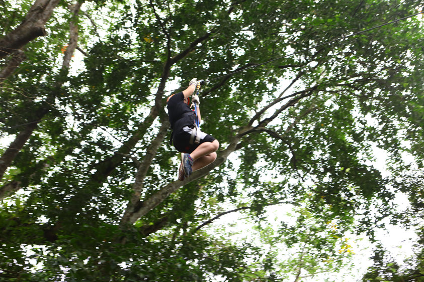 花蓮特色活動|野猴子探險森林。化身泰山攀上樹冠層探險、飛躍叢林、挑戰多條空中滑索吊橋超刺激! - 第21張圖 花蓮特色活動|野猴子探險森林。化身泰山攀上樹冠層探險、飛躍叢林、挑戰多條空中滑索吊橋超刺激!