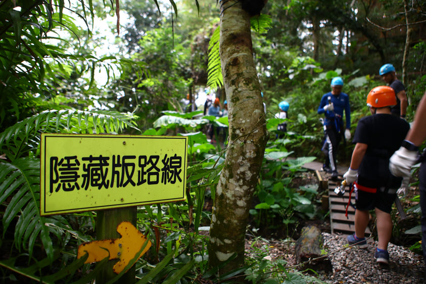 花蓮特色活動|野猴子探險森林。化身泰山攀上樹冠層探險、飛躍叢林、挑戰多條空中滑索吊橋超刺激! - 第25張圖 花蓮特色活動|野猴子探險森林。化身泰山攀上樹冠層探險、飛躍叢林、挑戰多條空中滑索吊橋超刺激!