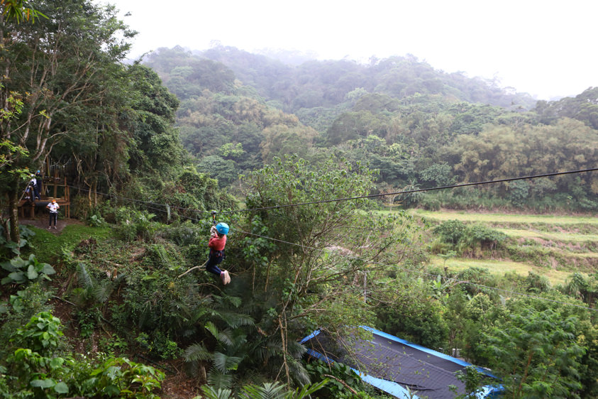 花蓮特色活動|野猴子探險森林。化身泰山攀上樹冠層探險、飛躍叢林、挑戰多條空中滑索吊橋超刺激! - 第26張圖 花蓮特色活動|野猴子探險森林。化身泰山攀上樹冠層探險、飛躍叢林、挑戰多條空中滑索吊橋超刺激!
