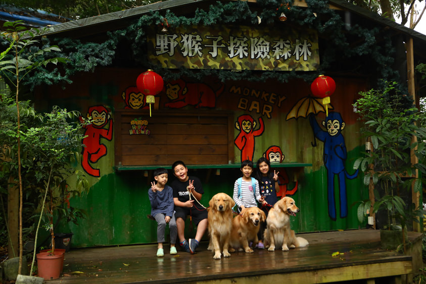花蓮特色活動|野猴子探險森林。化身泰山攀上樹冠層探險、飛躍叢林、挑戰多條空中滑索吊橋超刺激! - 第28張圖 花蓮特色活動|野猴子探險森林。化身泰山攀上樹冠層探險、飛躍叢林、挑戰多條空中滑索吊橋超刺激!