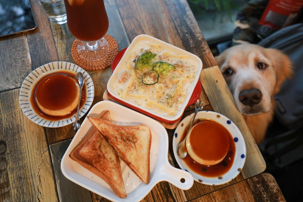 台北大直美食|野草咖啡Green room Cafe。台北寵物友善餐廳、森林系玻璃屋咖啡廳、實踐大學旁 - 第17張圖 台北大直美食|野草咖啡Green room Cafe。台北寵物友善餐廳、森林系玻璃屋咖啡廳、實踐大學旁
