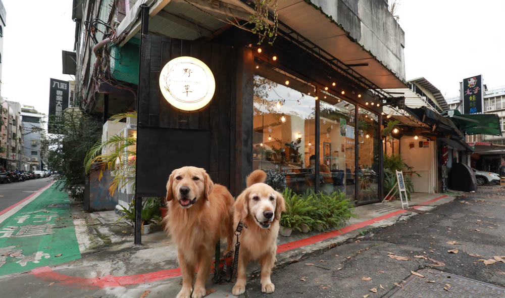 台北大直美食|野草咖啡Green room Cafe。台北寵物友善餐廳、森林系玻璃屋咖啡廳、實踐大學旁 - 第2張圖 台北大直美食|野草咖啡Green room Cafe。台北寵物友善餐廳、森林系玻璃屋咖啡廳、實踐大學旁