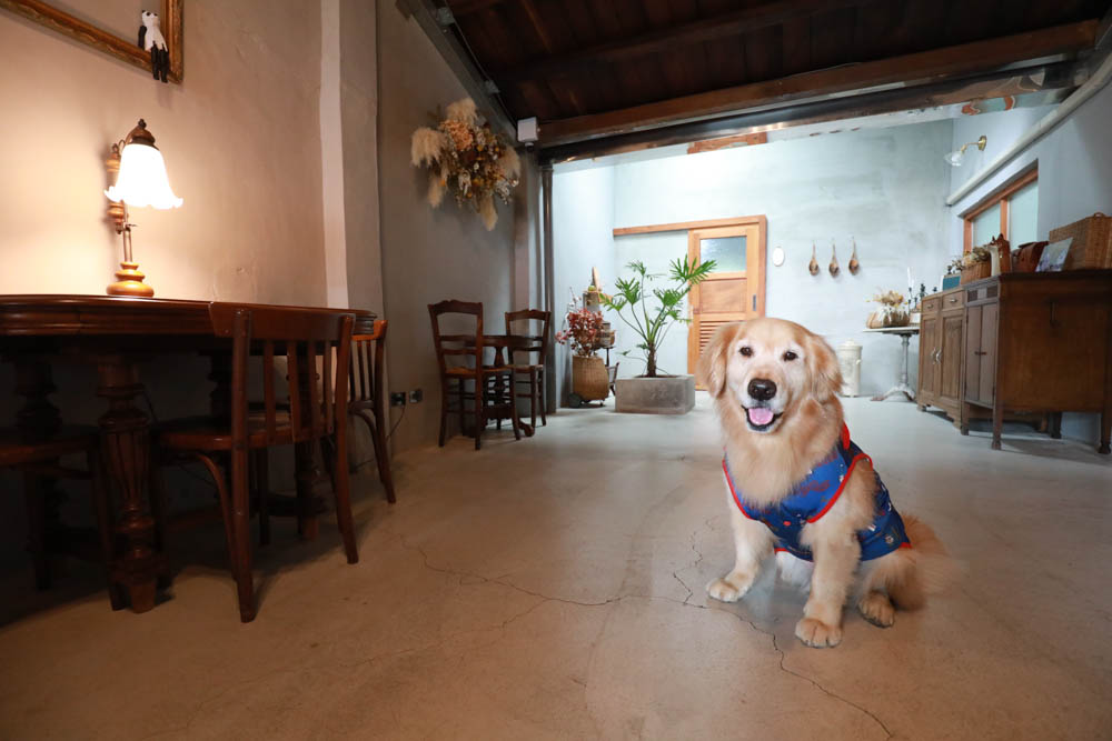 墾丁恆春美食｜野餐Picnic。寵物友善餐廳、 墾丁野餐道具租借、野餐餐點預訂體驗、老宅文青咖啡廳