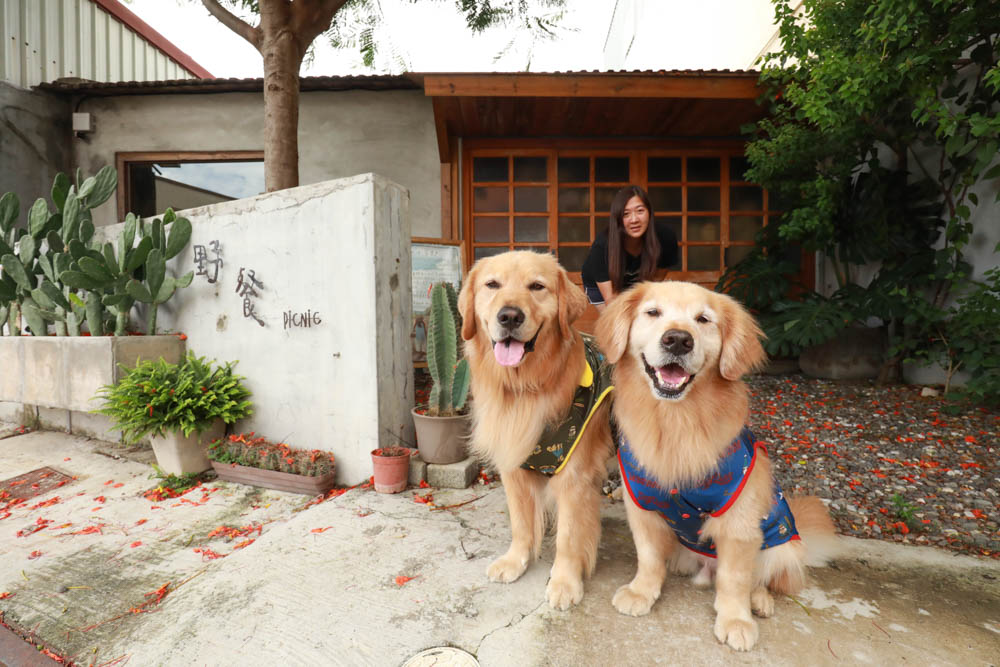 墾丁恆春美食｜野餐Picnic。寵物友善餐廳、 墾丁野餐道具租借、野餐餐點預訂體驗、老宅文青咖啡廳