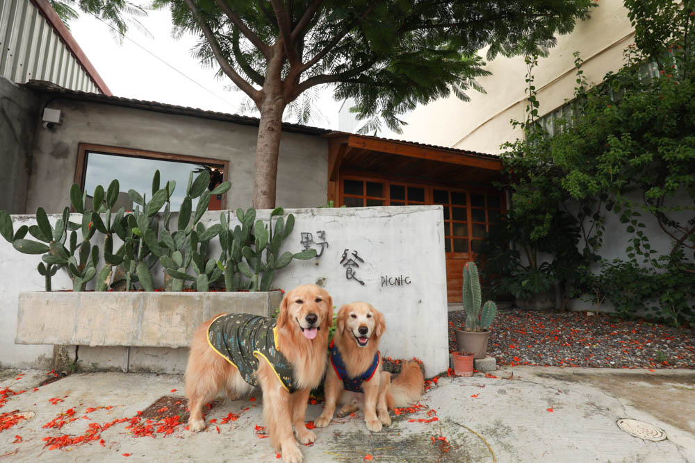 墾丁恆春美食｜野餐Picnic。寵物友善餐廳、 墾丁野餐道具租借、野餐餐點預訂體驗、老宅文青咖啡廳