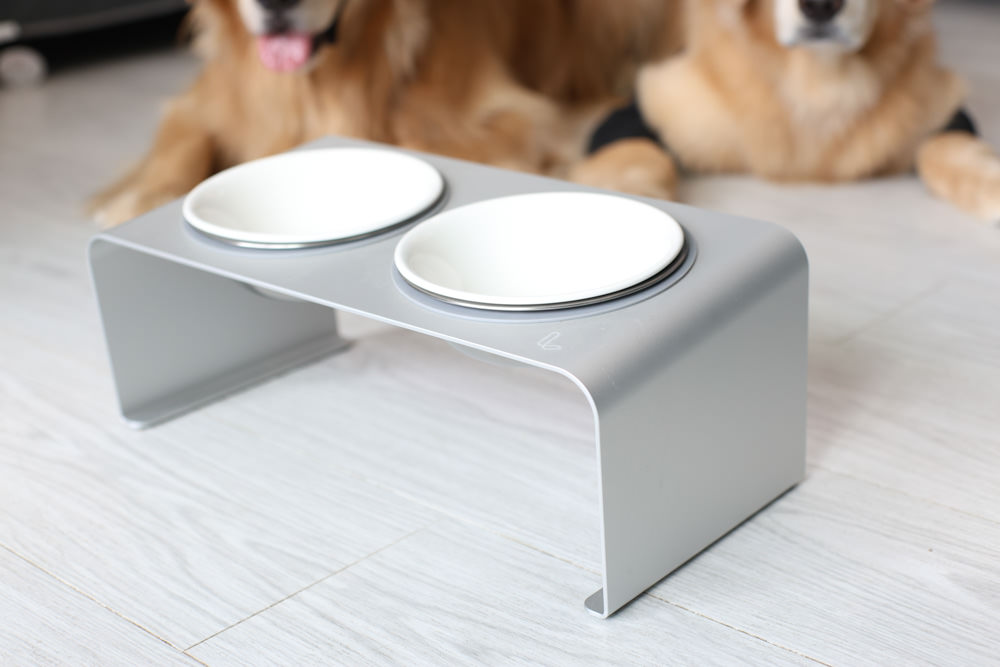 LINGO 3D透氣寵物床墊、LINGO鋁合金寵物碗架|台灣設計製造、寵物減壓睡墊、寵物餐碗推薦 - 第16張圖 LINGO 3D透氣寵物床墊、LINGO鋁合金寵物碗架|台灣設計製造、寵物減壓睡墊、寵物餐碗推薦