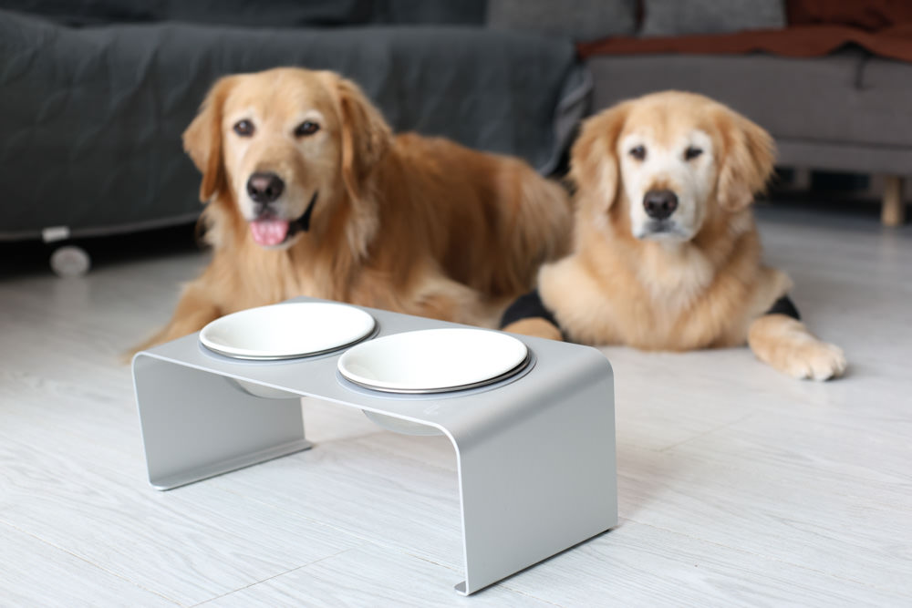 LINGO 3D透氣寵物床墊、LINGO鋁合金寵物碗架|台灣設計製造、寵物減壓睡墊、寵物餐碗推薦 - 第14張圖 LINGO 3D透氣寵物床墊、LINGO鋁合金寵物碗架|台灣設計製造、寵物減壓睡墊、寵物餐碗推薦