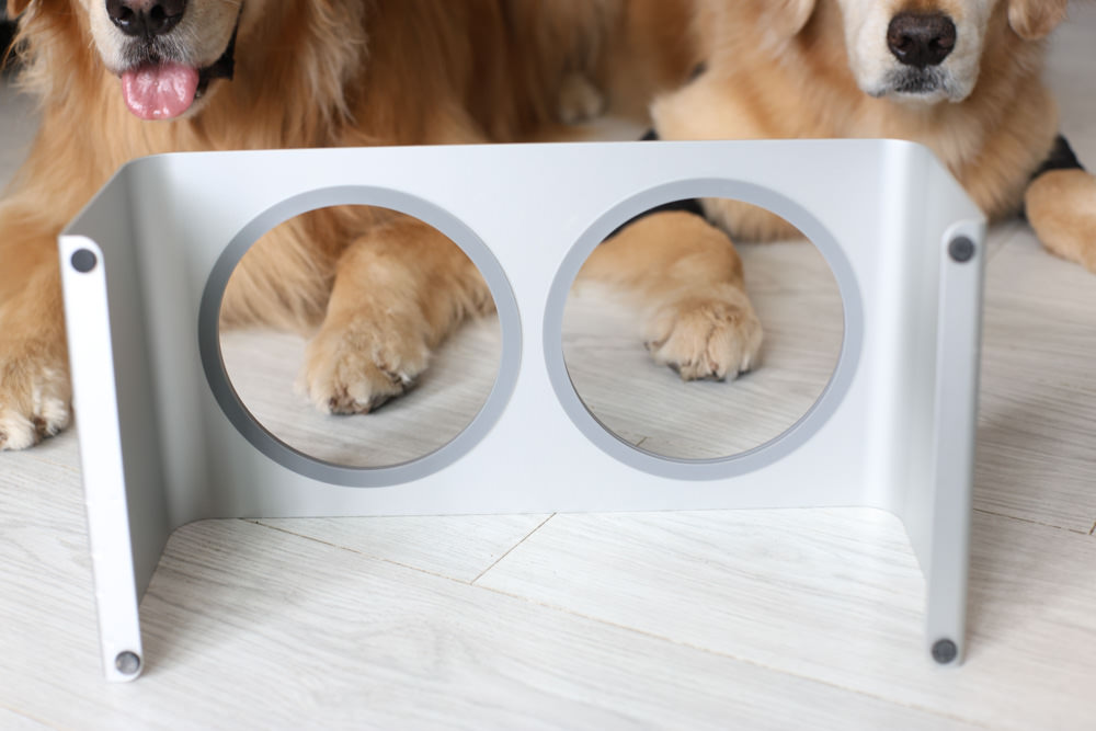 LINGO 3D透氣寵物床墊、LINGO鋁合金寵物碗架|台灣設計製造、寵物減壓睡墊、寵物餐碗推薦 - 第20張圖 LINGO 3D透氣寵物床墊、LINGO鋁合金寵物碗架|台灣設計製造、寵物減壓睡墊、寵物餐碗推薦