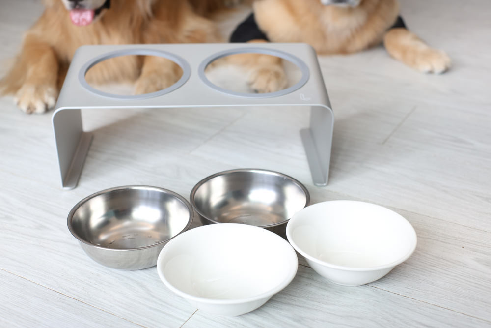 LINGO 3D透氣寵物床墊、LINGO鋁合金寵物碗架|台灣設計製造、寵物減壓睡墊、寵物餐碗推薦 - 第18張圖 LINGO 3D透氣寵物床墊、LINGO鋁合金寵物碗架|台灣設計製造、寵物減壓睡墊、寵物餐碗推薦