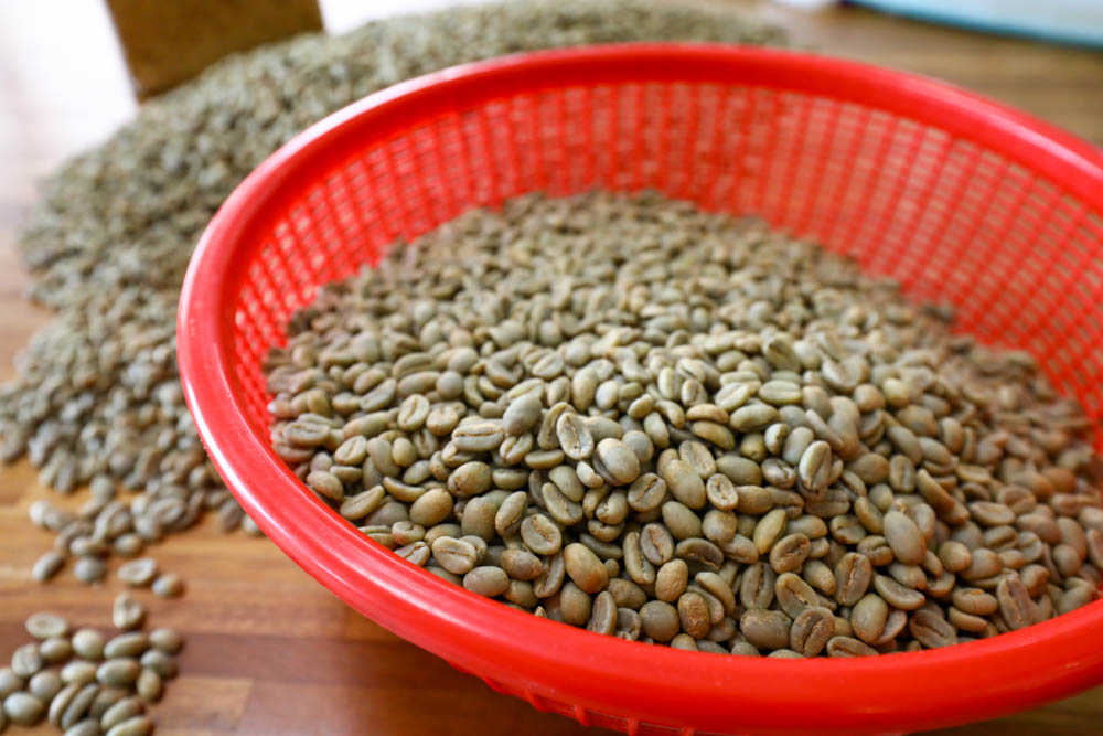 淡水景觀咖啡廳｜錘子咖啡烘焙坊Twi A Coffee Roasters、鄰近三芝北海岸、秘境別墅寬敞絕美庭院、職人手沖咖啡、寵物友善餐廳