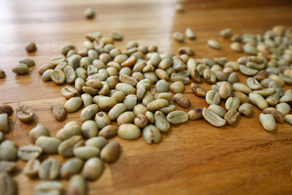 淡水景觀咖啡廳｜錘子咖啡烘焙坊Twi A Coffee Roasters、鄰近三芝北海岸、秘境別墅寬敞絕美庭院、職人手沖咖啡、寵物友善餐廳