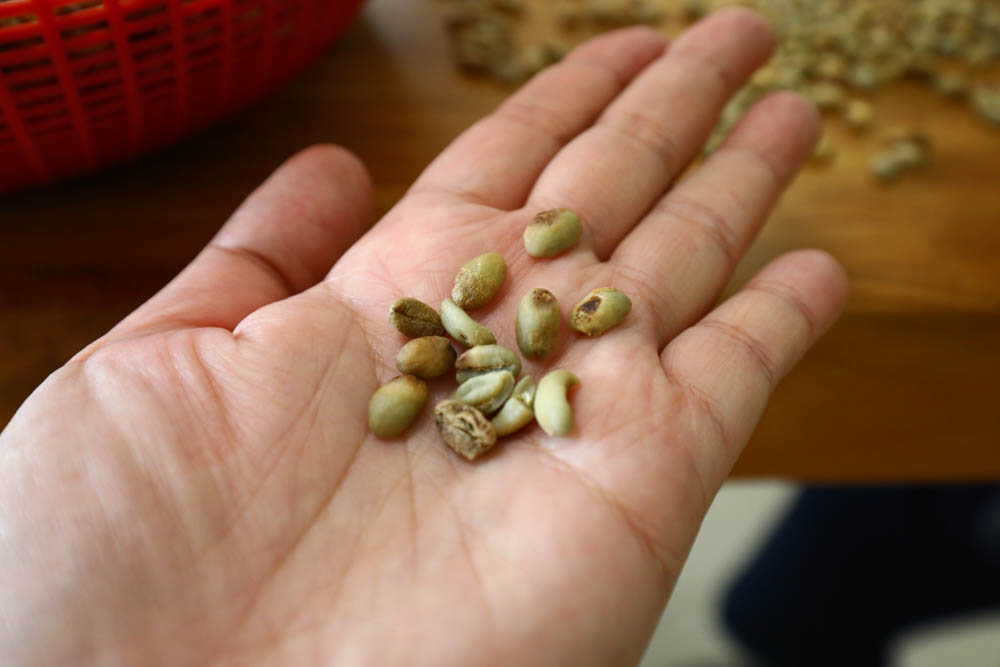 淡水景觀咖啡廳｜錘子咖啡烘焙坊Twi A Coffee Roasters、鄰近三芝北海岸、秘境別墅寬敞絕美庭院、職人手沖咖啡、寵物友善餐廳