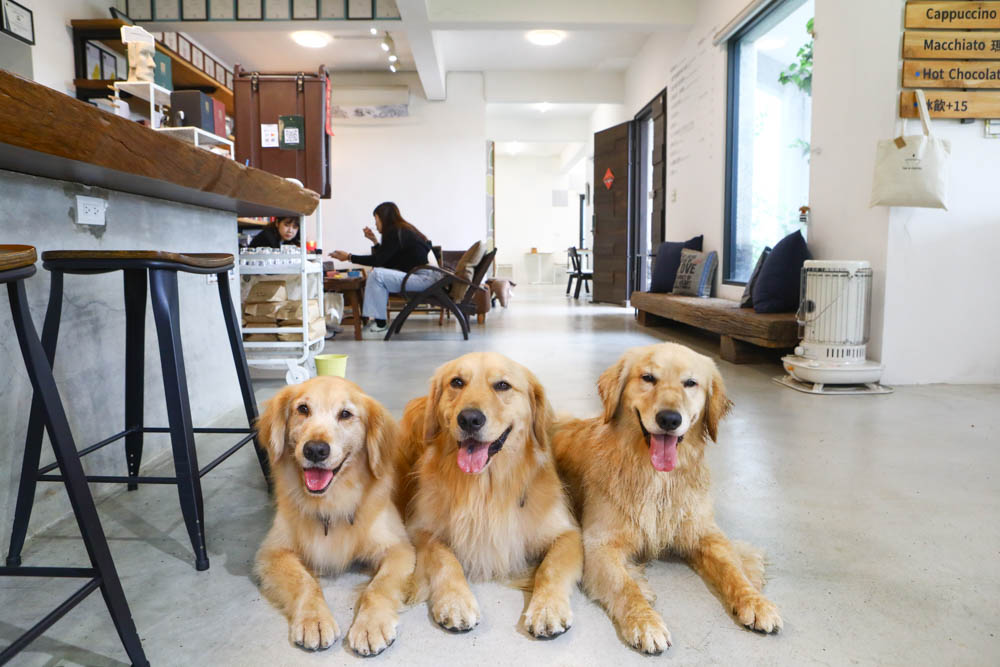 淡水景觀咖啡廳｜錘子咖啡烘焙坊Twi A Coffee Roasters、鄰近三芝北海岸、秘境別墅寬敞絕美庭院、職人手沖咖啡、寵物友善餐廳