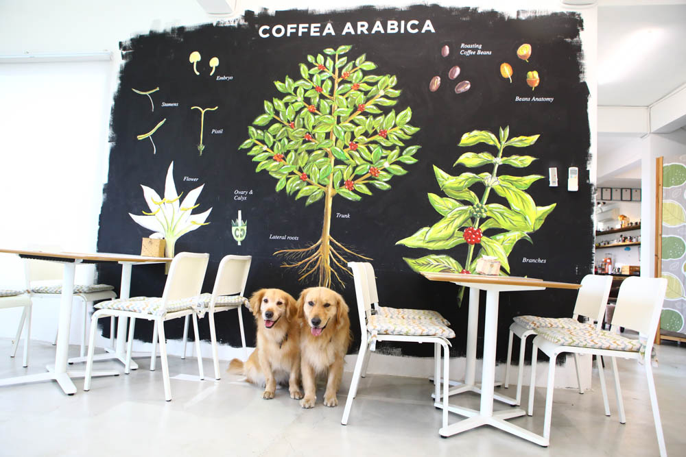 淡水景觀咖啡廳｜錘子咖啡烘焙坊Twi A Coffee Roasters、鄰近三芝北海岸、秘境別墅寬敞絕美庭院、職人手沖咖啡、寵物友善餐廳