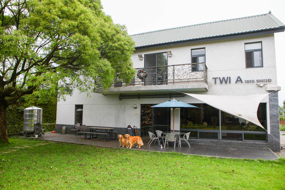 淡水景觀咖啡廳｜錘子咖啡烘焙坊Twi A Coffee Roasters、鄰近三芝北海岸、秘境別墅寬敞絕美庭院、職人手沖咖啡、寵物友善餐廳
