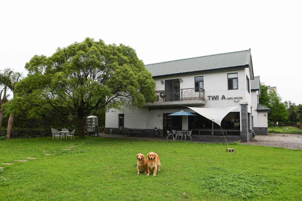 淡水景觀咖啡廳｜錘子咖啡烘焙坊Twi A Coffee Roasters、鄰近三芝北海岸、秘境別墅寬敞絕美庭院、職人手沖咖啡、寵物友善餐廳