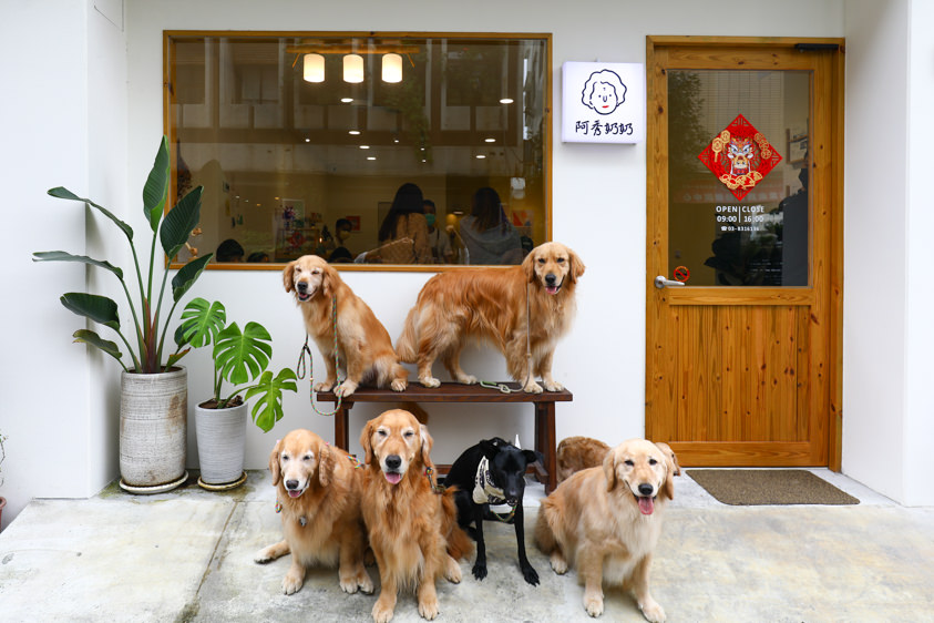 花蓮美食｜阿秀奶奶。特色蒸籠清粥小菜、早午餐咖啡廳、寵物友善餐廳