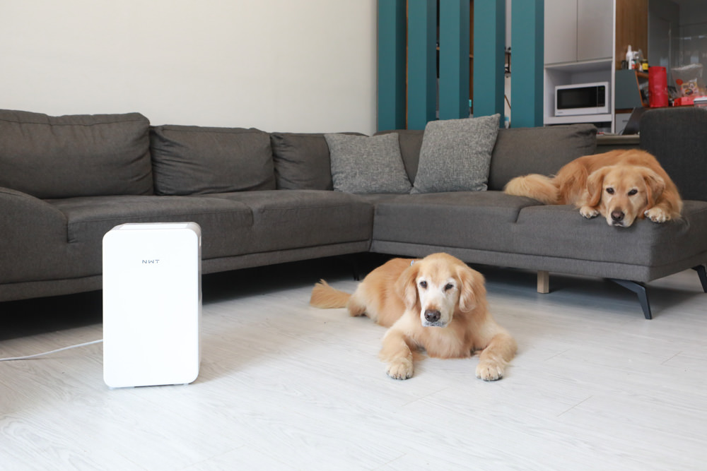 NWT威技一級能效6公升銀離子抗菌除濕機(WDH-06ES)。體積輕巧、強效除濕  一鍵清淨、快速乾衣