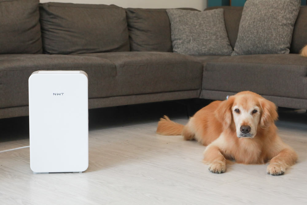 NWT威技一級能效6公升銀離子抗菌除濕機(WDH-06ES)。體積輕巧、強效除濕  一鍵清淨、快速乾衣