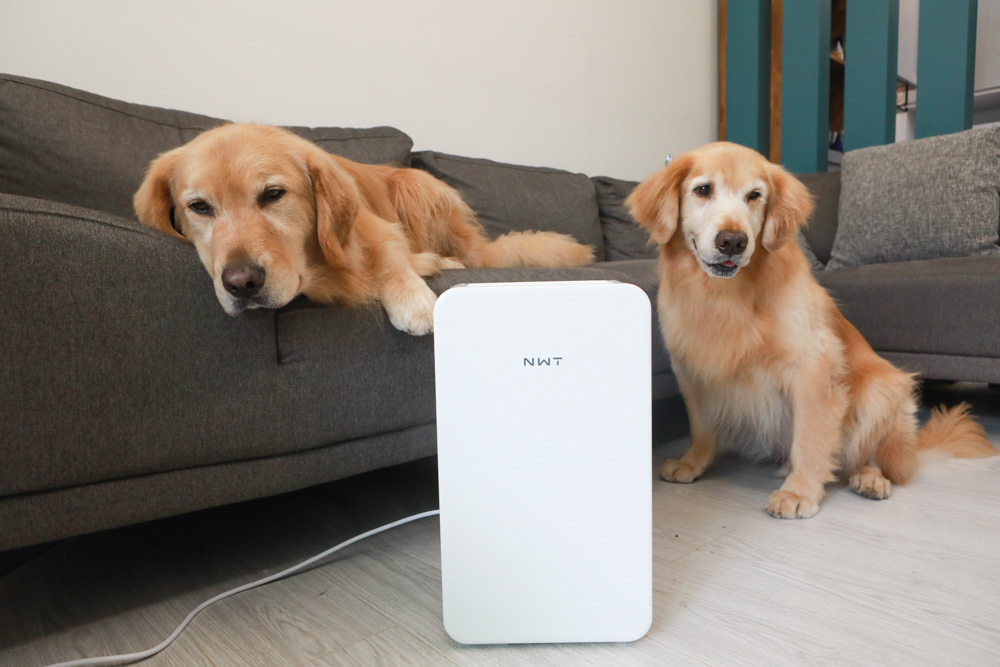 NWT威技一級能效6公升銀離子抗菌除濕機(WDH-06ES)。體積輕巧、強效除濕  一鍵清淨、快速乾衣