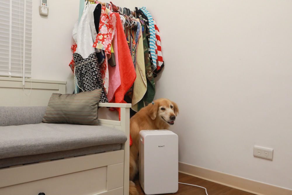 NWT威技一級能效6公升銀離子抗菌除濕機(WDH-06ES)。體積輕巧、強效除濕  一鍵清淨、快速乾衣